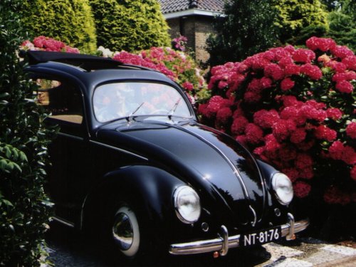 1951 Ragtop Beetle Deluxe